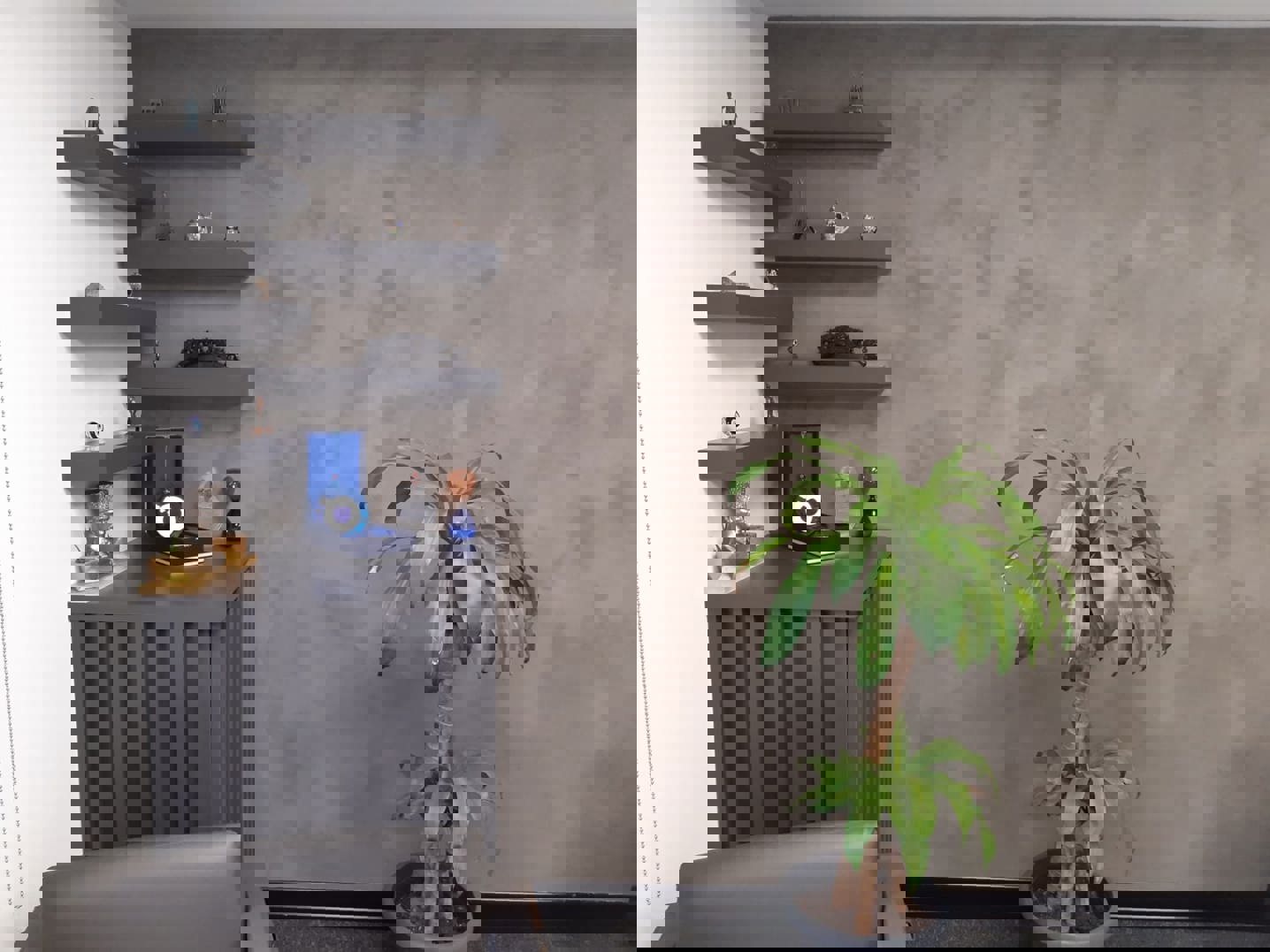 İç Cephe Boya Uygulamaları: Temiz, Planlı ve Sorunsuz